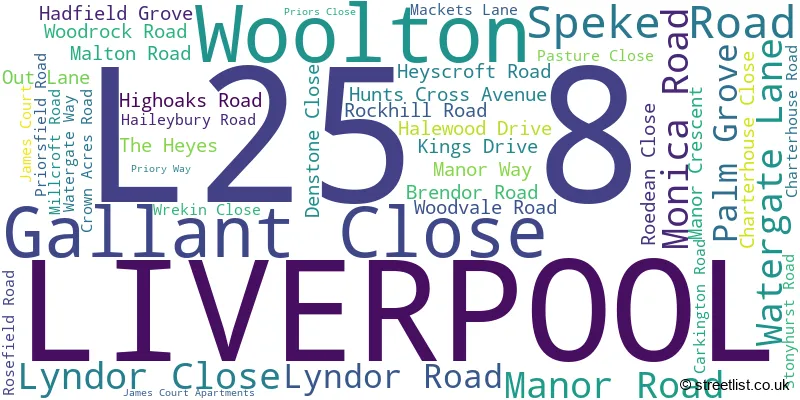 A word cloud for the L25 8 postcode